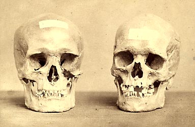 1978_715_1_5